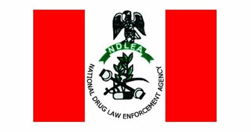  Sokoto NDLEA arrests 146, seizes illicit drugs