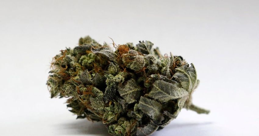  Mass. commission approves framework for social cannabis use sites