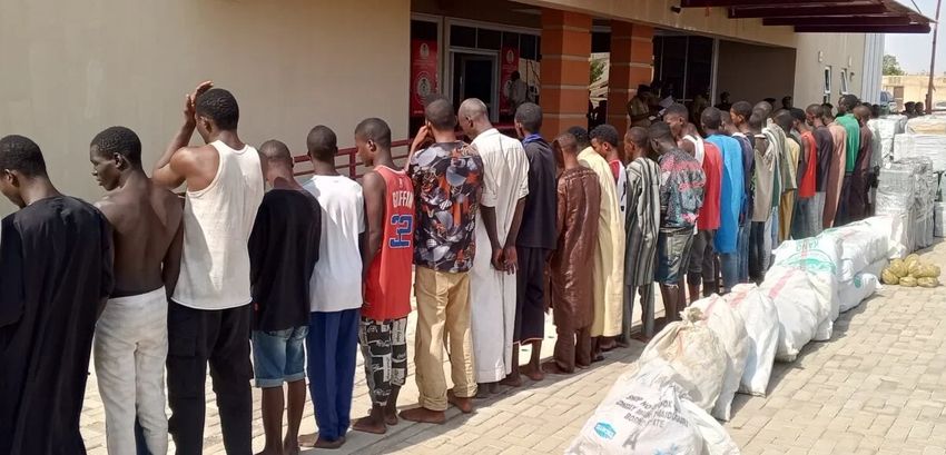  NDLEA seizes 1,396 kg of narcotics, arrests 150 suspects in Adamawa