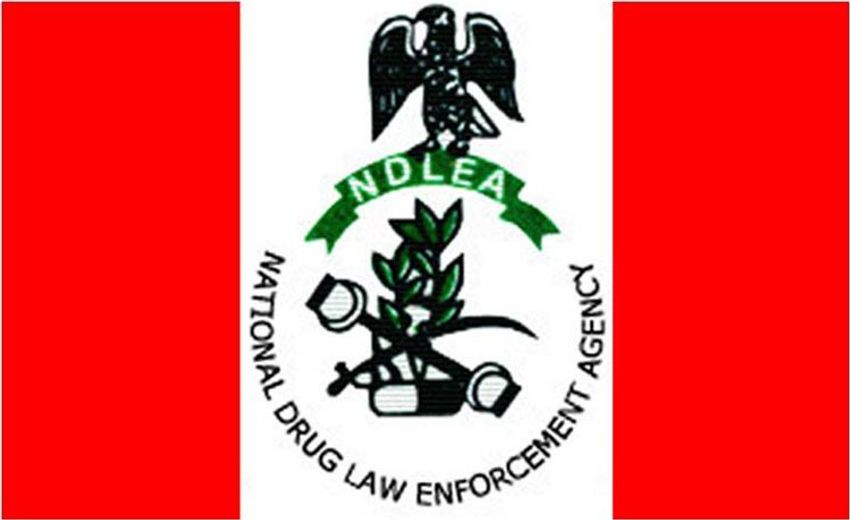  NDLEA arrests two suspected traffickers, seizes 763kg of skunk in Edo