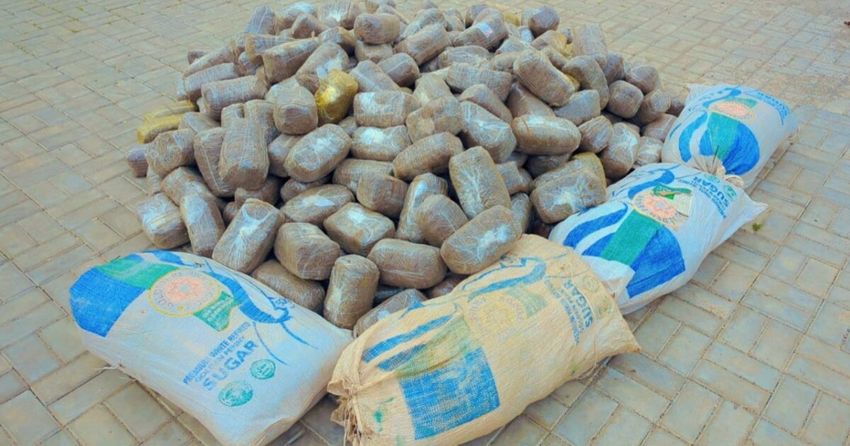  Police arrest drug dealer, recover five bags of cannabis in Kano