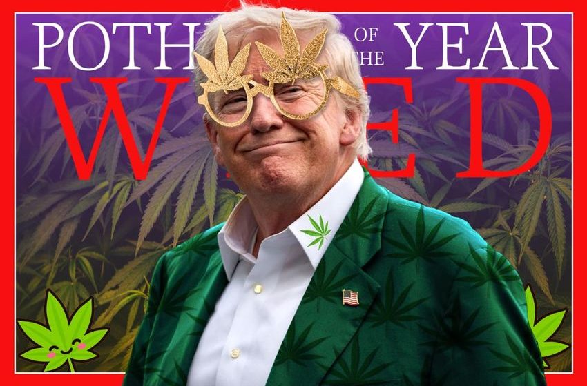  Trump just legalized marijuana nationwide — here’s why potheads are rejoicing