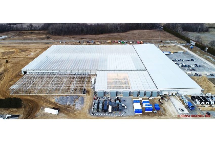  Sensi Brands Inc.™ Acquires Maricann Inc.