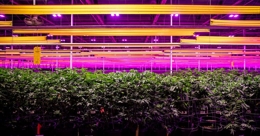  Trump Signs Executive Order to Reclassify Marijuana, Easing Restrictions on the Drug (Luke Broadwater/New York Times)