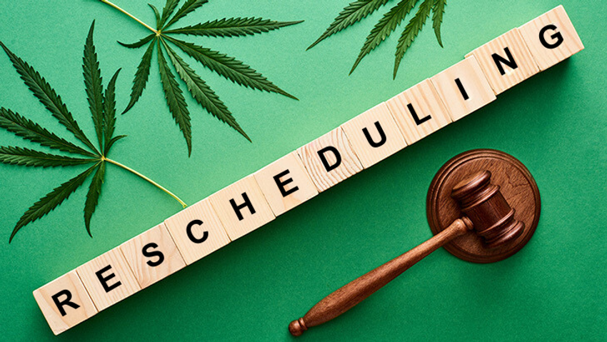  Media Reports: White House Decision on Marijuana Rescheduling May Be Imminent