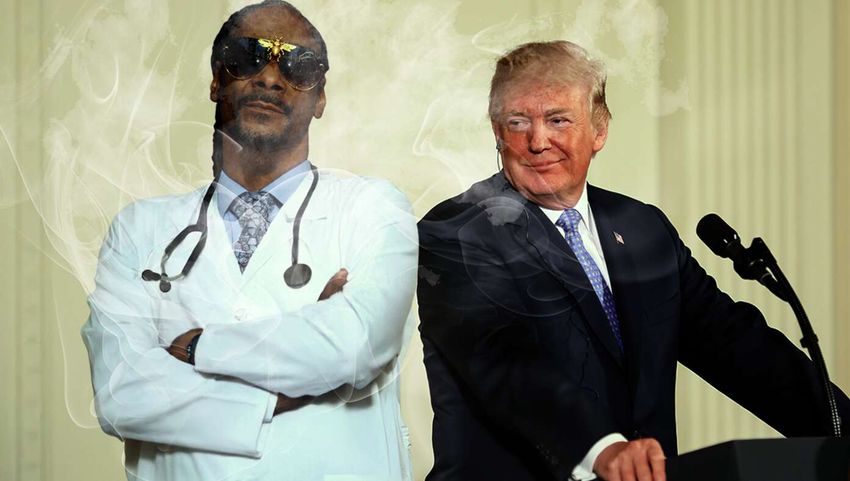  Trump Eases Marijuana Restrictions After Reviewing Extensive Research By Dr. S. Dogg