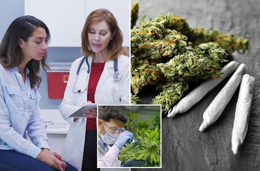 Key cannabis compounds may help in the battle against one of the deadliest diseases