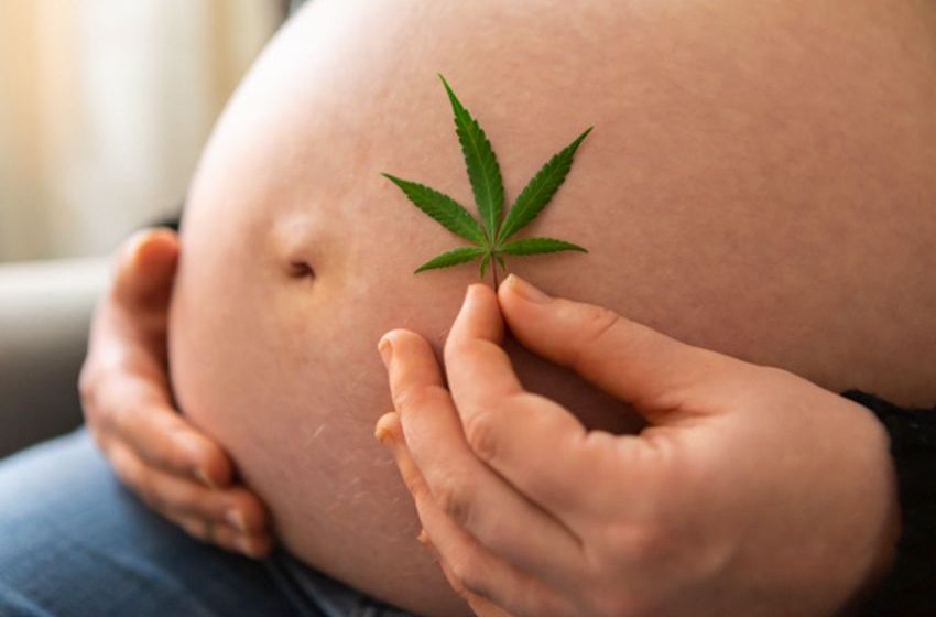  Prenatal cannabis exposure linked to higher risk of ADHD and autism in children, study finds