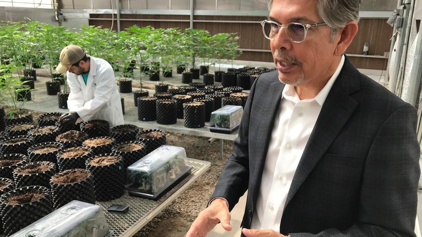 Cannabis entrepreneur Duke Rodriguez joins the race for New Mexico governor