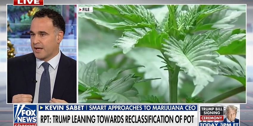  Push to repeal recreational marijuana legalization in Massachusetts | Fox News Video
