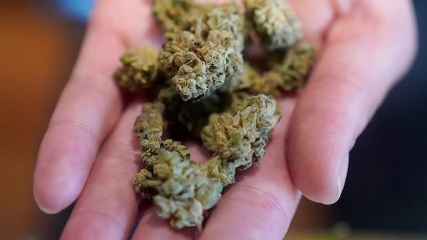  Trump executive order could change marijuana classification in U.S.