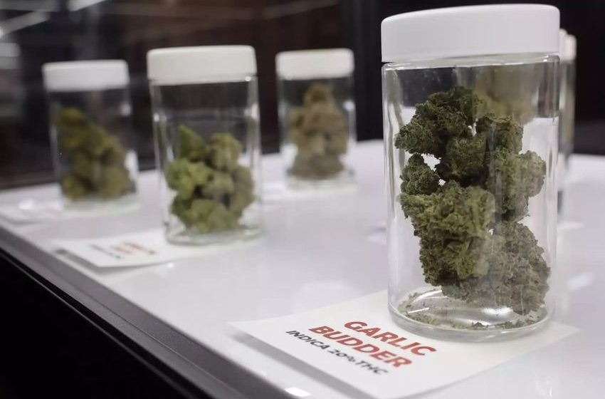  Red Lake Nation to open cannabis dispensary in West St. Paul