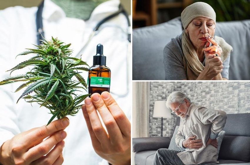  Bombshell cannabis study reveals hidden risks of medical pot that may actually outweigh any benefits