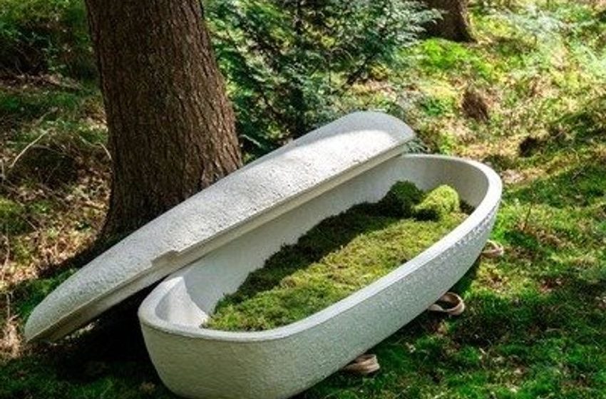  The Loop Living Cocoon: A Mushroom-Based Coffin Grown in Seven Days