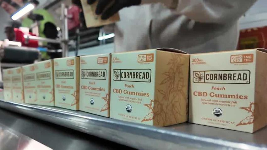  Cornbread Hemp opens new facility as federal crackdown threatens industry
