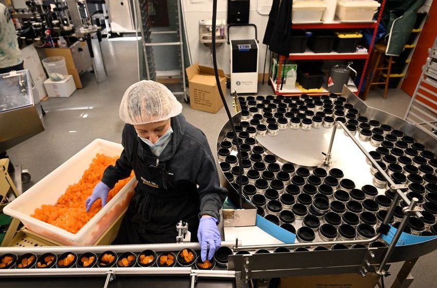  What will Trump’s marijuana adjustment mean for Colorado’s cannabis industry? (Opinion)