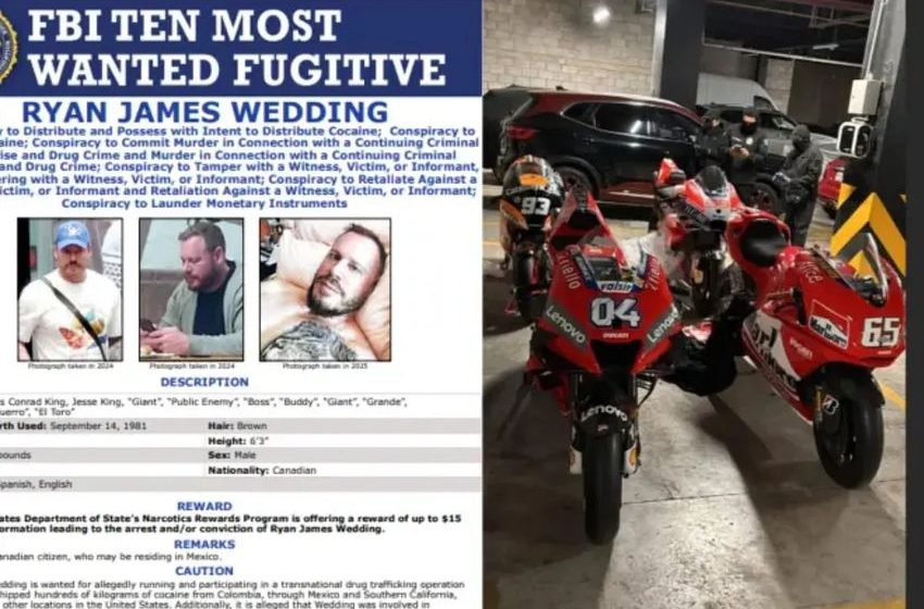  From athlete to criminal: the story of the criminal who collected Grand Prix motorcycles