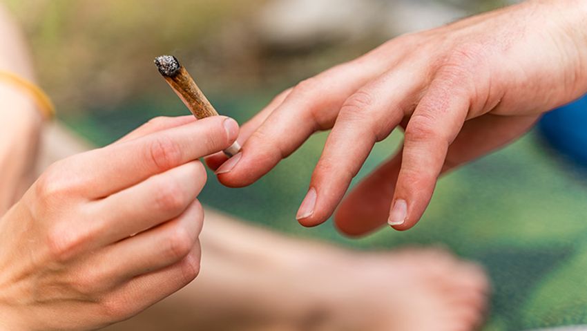  Everyone Deserves the Gift of Cannabis Freedom