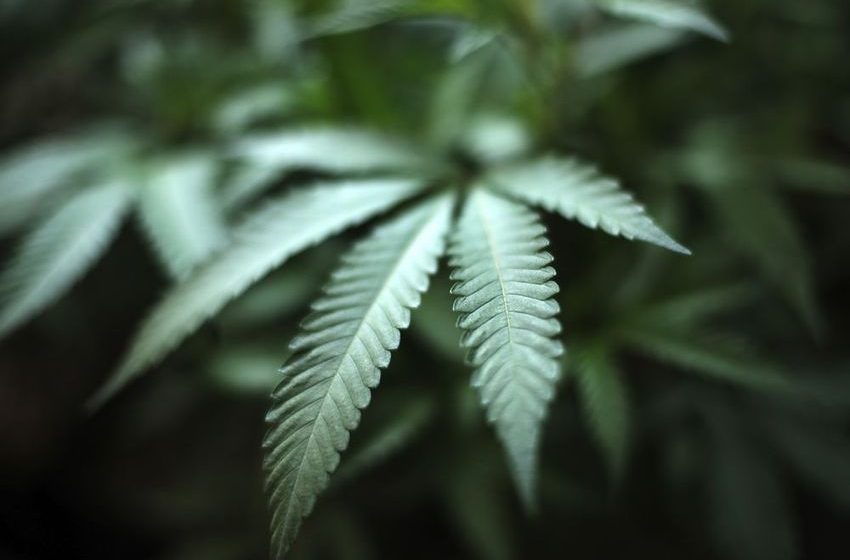  This TSX stock was up 17% this week and it could gain another 36%, analysts say