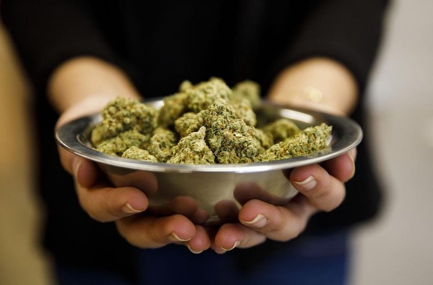  Doc fumes as Santa Monica launches woke program to help ex-crooks open pot shops in drug-plagued beach city