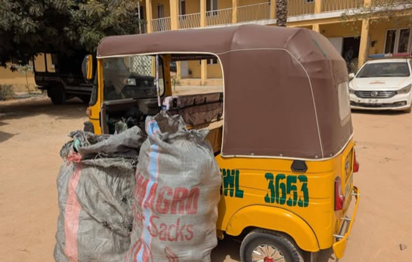 Police arrest four suspects, seize cannabis in Kano