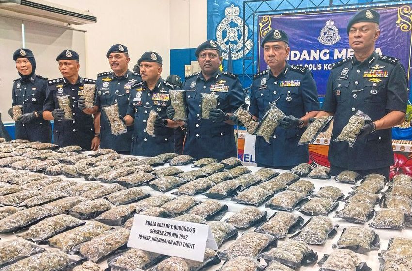 RM1.82mil ganja seized