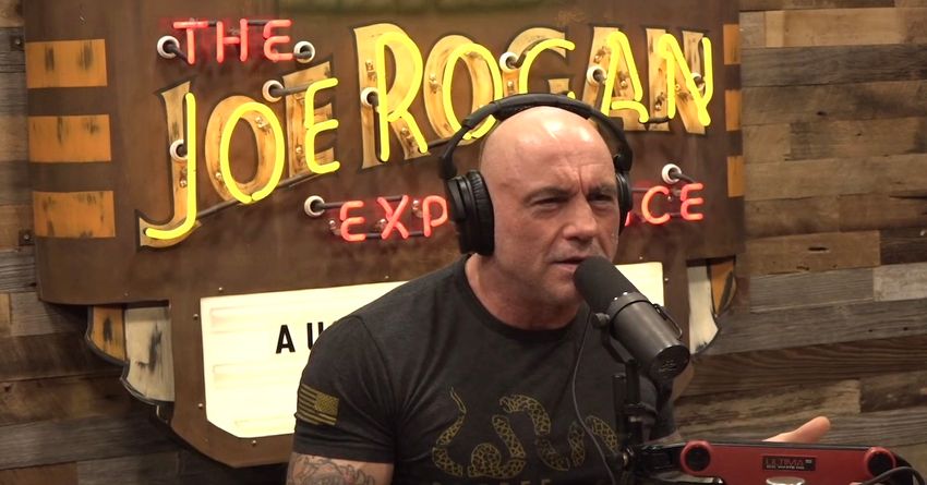  Joe Rogan Shuts Down Guest’s Claim Kamala Harris Would’ve Tanked On His Podcast: ‘We Could’ve Talked for Hours’
