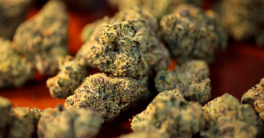  Cannabis companies accuse smoke shops of unfair competition in St. Louis County suit