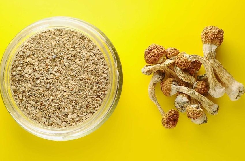  U.S. Psychedelic Use and Microdosing in 2025