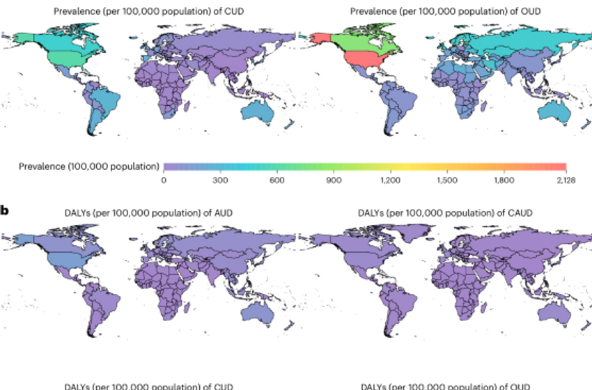  Global burden of amphetamine, cannabis, cocaine and opioid use in 204 countries, 1990–2023: a Global Burden of Disease Study
