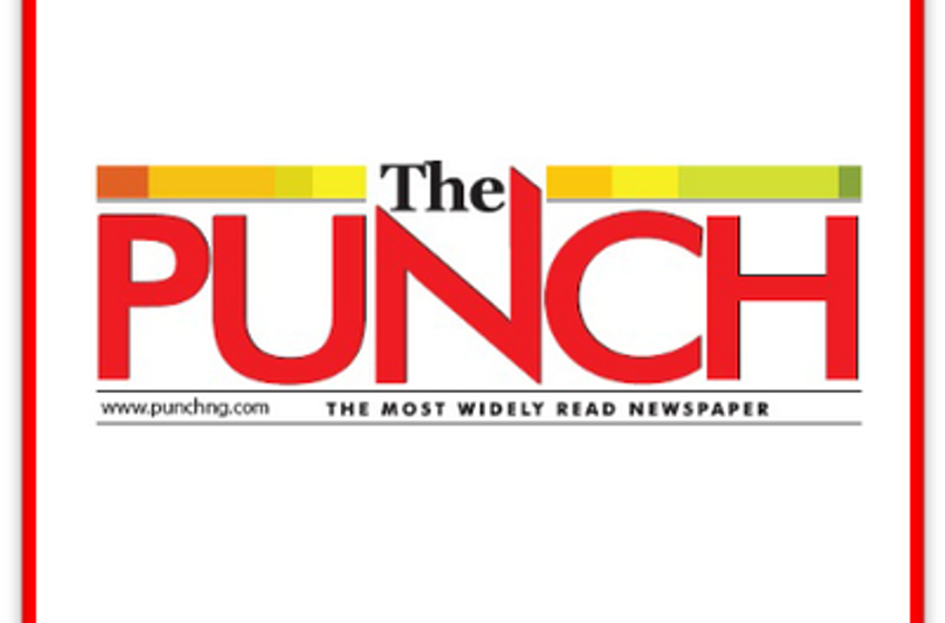  Customs, NDLEA seize 347.5kg of cannabis at Apapa port