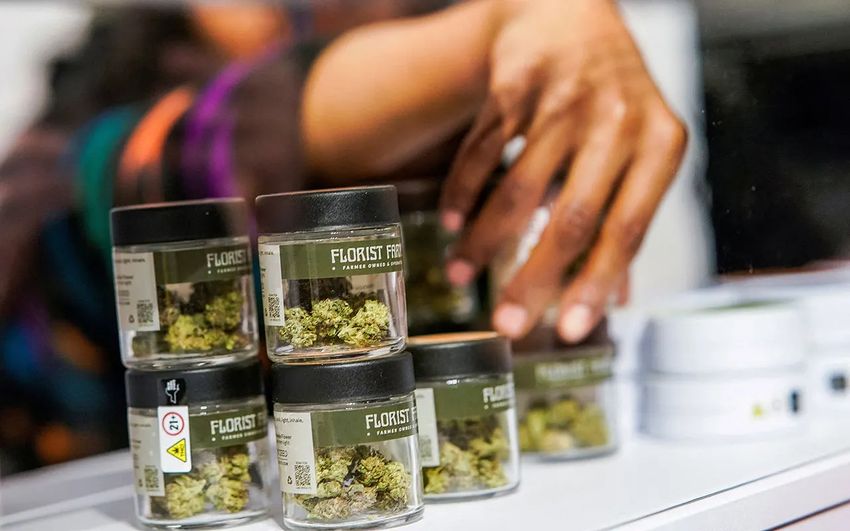  Chicago Catholic university offers courses on running cannabis dispensaries