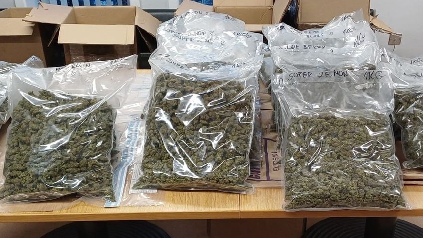  Three arrested following cannabis seizure in Co Cork
