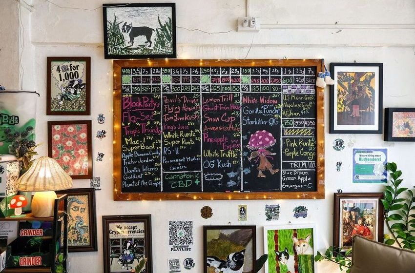  Weed Backlash Grows in Thailand as Kids Turn to Cannabis