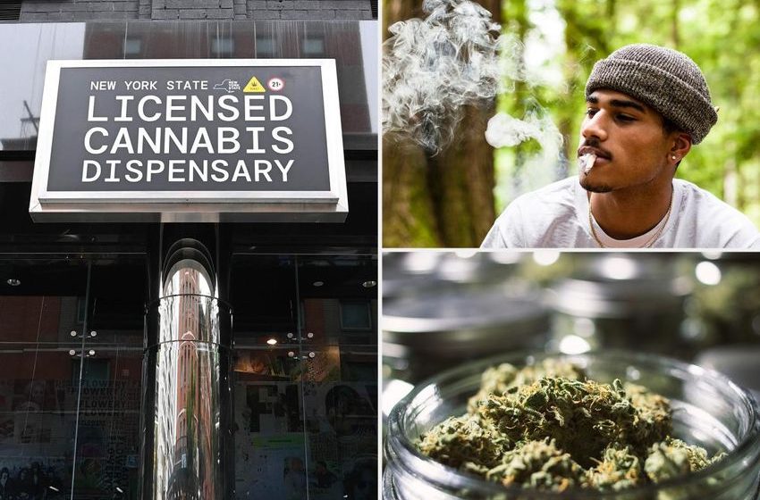  New York’s legal pot shops more than doubled in 2025 — as sales surpassed $2.5B