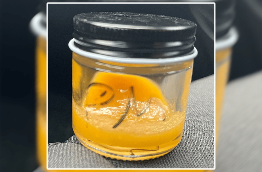  Products from Maine marijuana chain test positive for pesticides