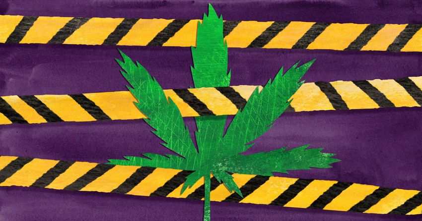  Smoke and Mirrors: How Intoxicating Hemp Seeped Into the First Recreational Marijuana Market in the Country