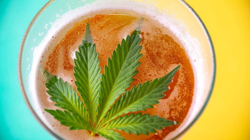  Expert Take On the New Alternative to Alcohol — THC Drinks, Are They Healthier?