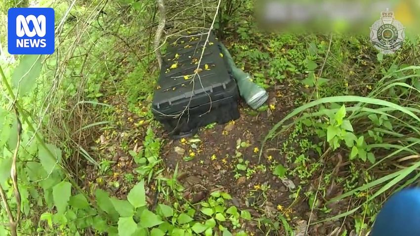  Police seize 100kg cannabis, guns in Townsville drug trafficking arrest