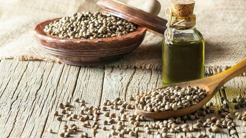 Best hemp seeds