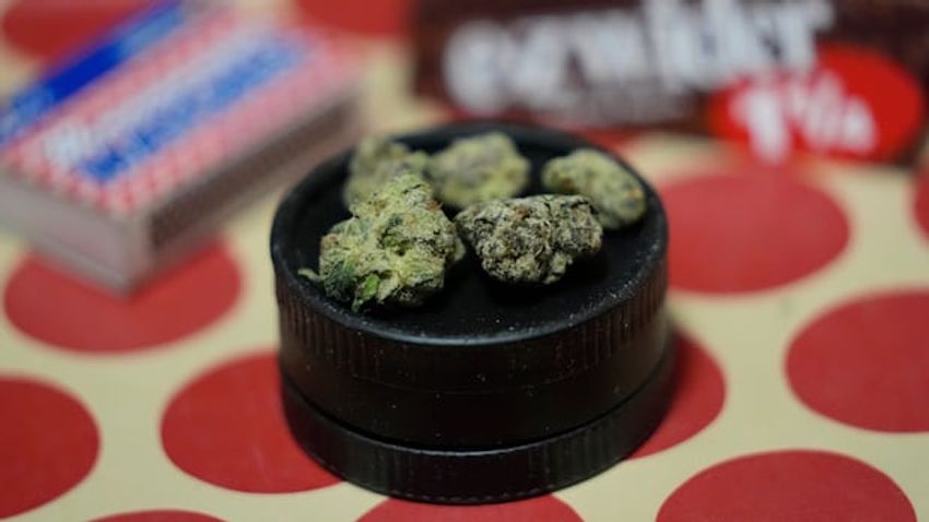  Province won’t explain how it determined there are 118 illegal cannabis dispensaries in N.S.