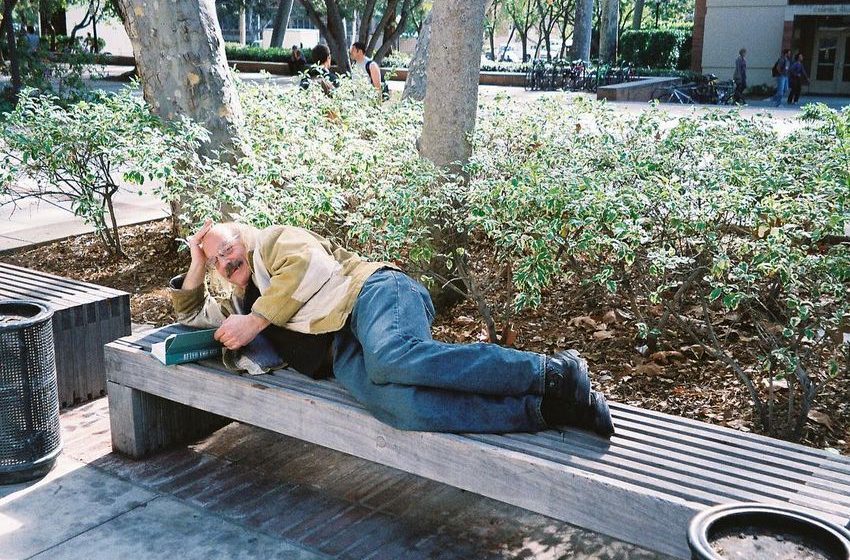  The Last Intellectual