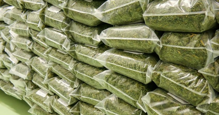  How the Irish cannabis market has been transformed by legalisation in other countries