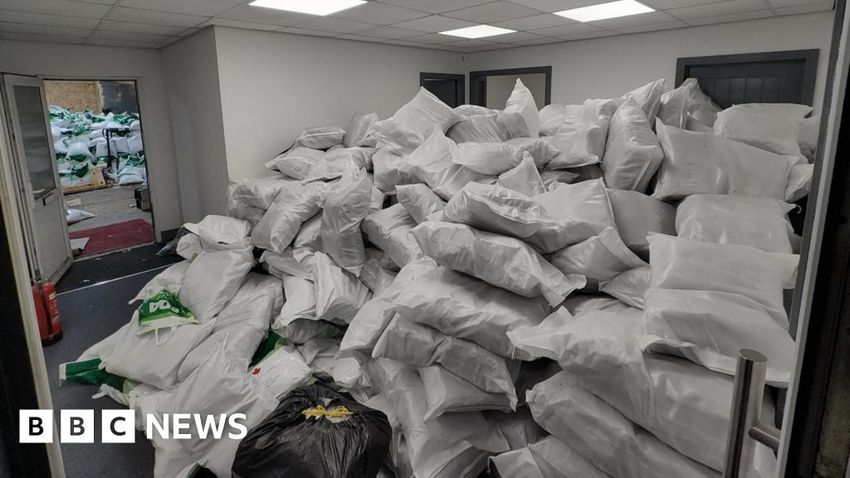  Two charged over £24m cannabis haul