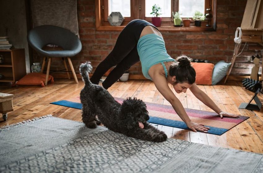  Strive for success in 2026 and beyond