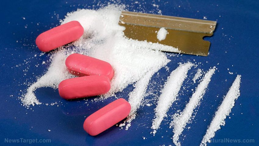  U.S. Coast Guard seizes record 76,000 pounds of narcotics in largest drug bust at Port Everglades