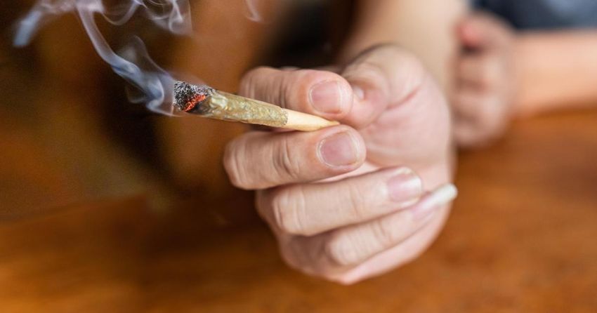  Valid cannabis smell complaints reach 140, but ARUC has yet to issue a fine