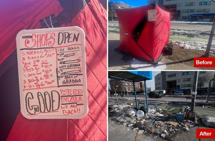  Bronx ‘drug igloos’ shut down by cops, but menacing ‘weed dealers’ threaten Post scribes, vow to return