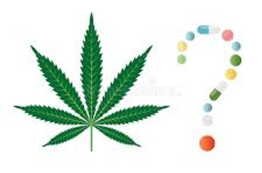  The Lying New York Times