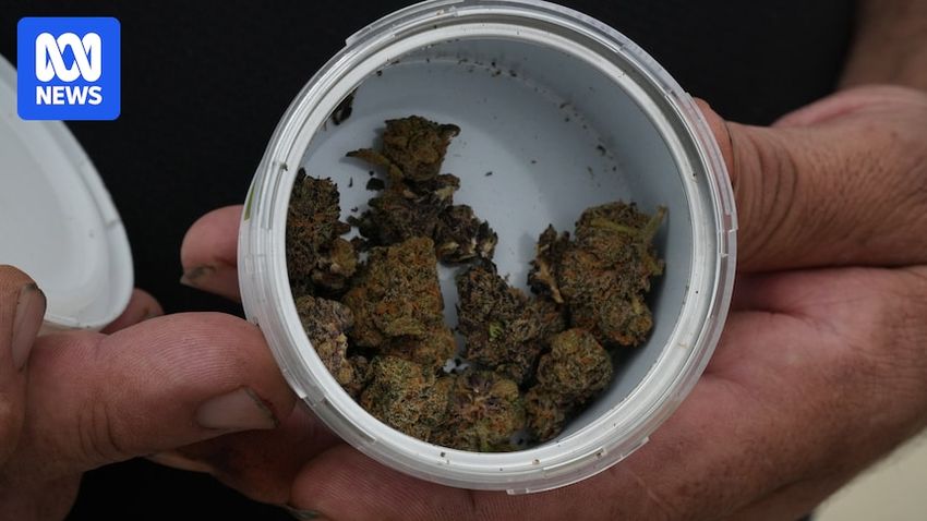  ‘Brown packages filled with money’ being offered to clinicians and advocates in alleged DVA fraud